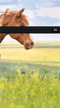 Mobile Screenshot of happyhorse.de